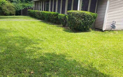 Photo of Malekia B.'s yard after getting lawn care in Naperville, IL
