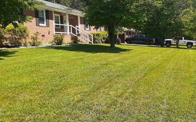 Photo of Iliana T.'s yard after getting lawn care in Taylors, SC