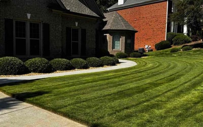 Photo of Amy M.'s yard after getting lawn care in Hoffman Estates, IL