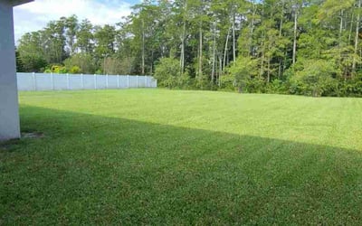 Photo of Tess R.'s yard after getting lawn care in Tampa, FL