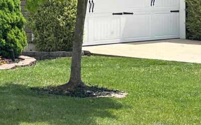 Photo of Alvin W.'s yard after getting lawn care in O'Fallon, MO