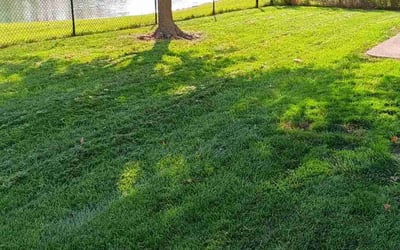 Photo of Laura C.'s yard after getting lawn care in Bellefonte, PA