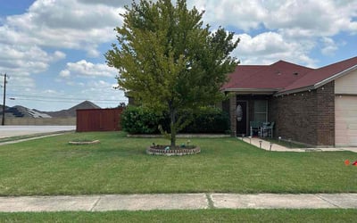 Photo of Linda C.'s yard after getting lawn care in Copperas Cove, TX