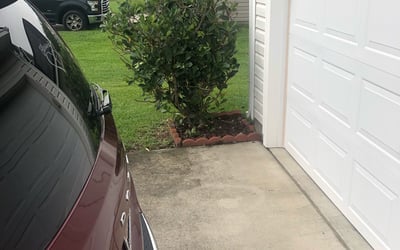 Photo of John R.'s yard after getting tree care in Franklinton, NC