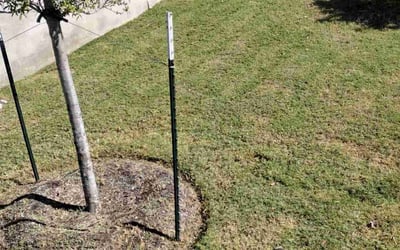 Photo of Linda J.'s yard after getting lawn care in Goodyear, AZ