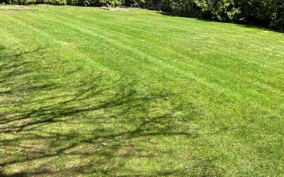 Photo of Glenda R.'s yard after getting lawn care in Baldwinsville, NY