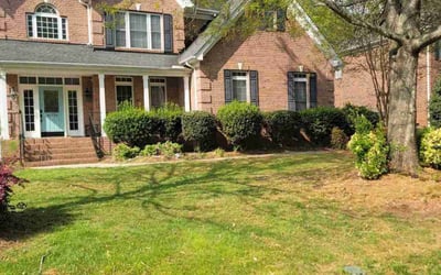 Photo of Mary A.'s yard after getting lawn care in Longs, SC