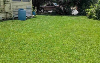 Photo of Dominique B.'s yard after getting lawn care in Ridgefield, CT