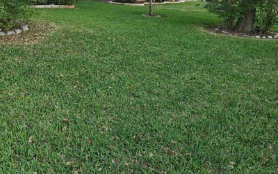 Photo of Don L.'s yard after getting lawn care in Grapevine, TX
