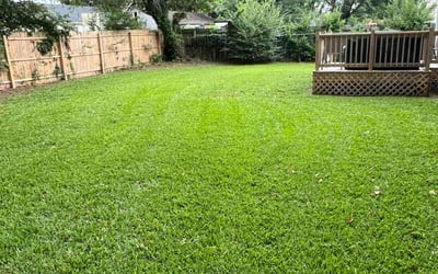 Photo of Paul M.'s yard after getting lawn care in Yorktown, VA