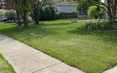 Photo of Ethel W.'s yard after getting lawn care in Calumet City, IL