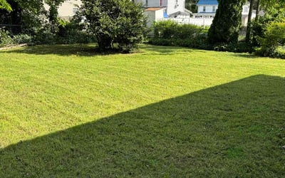 Photo of Karen C.'s yard after getting lawn care in Ocean City, MD