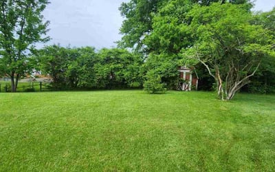 Photo of LaTasha W.'s yard after getting lawn care in Blue Ash, OH