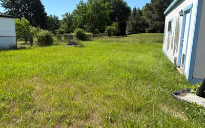 Photo of Kathy S.'s yard after getting lawn care in Denville, NJ