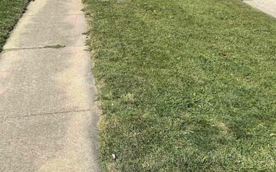 Photo of Charles M.'s yard after getting lawn care in Champaign, IL