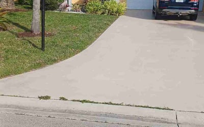 Photo of Michael N.'s yard after getting lawn care in Naples, FL
