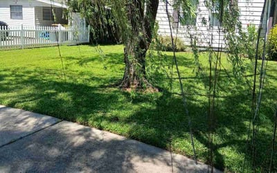 Photo of Tyler P.'s yard after getting lawn care in Bossier City, LA