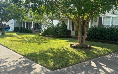 Photo of Elizabeth C.'s yard after getting lawn care in Suffolk, VA