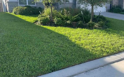 Photo of Anise D.'s yard after getting lawn care in Conroe, TX