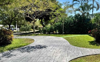 Photo of Tasha O.'s yard after getting lawn care in Pompano Beach, FL