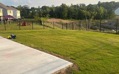 Photo of Anne B.'s yard after getting lawn care in Mooresville, NC