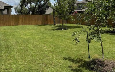 Photo of Rob C.'s yard after getting lawn care in Paradise, CA