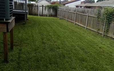 Photo of Brad R.'s yard after getting lawn care in Covington, WA