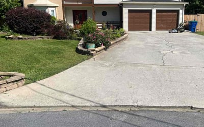Photo of Staci O.'s yard after getting lawn care in San Pedro, CA