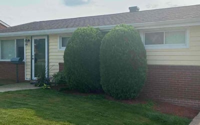 Photo of Fern C.'s yard after getting tree care in Keller, TX