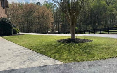 Photo of Rick L.'s yard after getting lawn care in Canton, GA