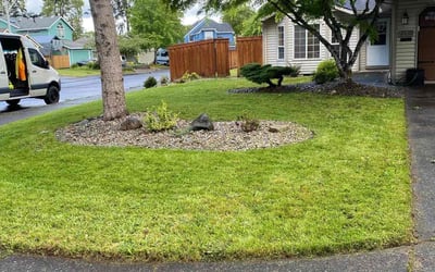 Photo of Moe V.'s yard after getting lawn care in Hillsboro, OR