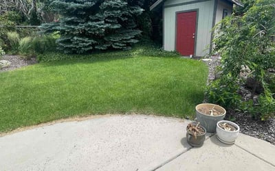 Photo of Jordan D.'s yard after getting lawn care in Payson, UT