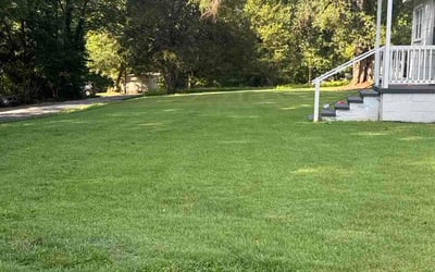 Photo of Michael S.'s yard after getting lawn care in Hephzibah, GA