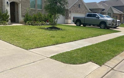 Photo of Blake Y.'s yard after getting lawn care in Dawsonville, GA