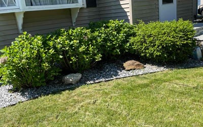 Photo of Chris G.'s yard after getting lawn care in Tolland, CT