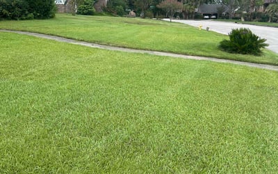 Photo of Bev M.'s yard after getting lawn care in Yorba Linda, CA