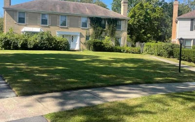 Photo of Vanessa A.'s yard after getting lawn care in Wilmette, IL