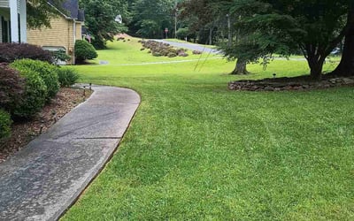 Photo of Jade E.'s yard after getting lawn care in Woodstock, GA
