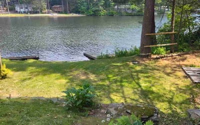Photo of Bev M.'s yard after getting lawn care in Wilbraham, MA