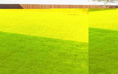 Photo of Edgar A.'s yard after getting lawn care in Decatur, TX