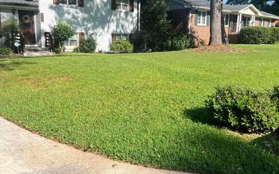 Photo of Alaric C.'s yard after getting lawn care in Decatur, GA