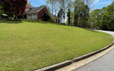 Photo of Truman C.'s yard after getting lawn care in Conyers, GA