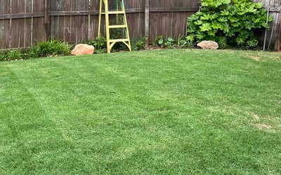 Photo of Cliff A.'s yard after getting lawn care in La Fayette, GA