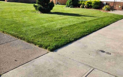 Photo of Carla P.'s yard after getting lawn care in Chagrin Falls, OH