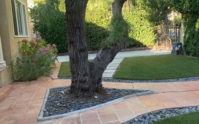 Photo of Benjamin H.'s yard after getting lawn care in El Monte, CA