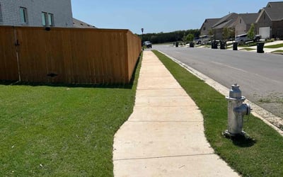 Photo of Alejandro G.'s yard after getting lawn care in San Marcos, TX