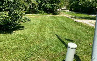 Photo of Christina S.'s yard after getting lawn care in Elkton, MD