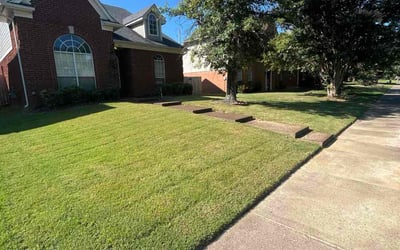 Photo of Laura L.'s yard after getting lawn care in Bristol, TN