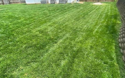 Photo of Renee R.'s yard after getting lawn care in Winston-Salem, NC