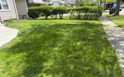 Photo of Jweda R.'s yard after getting lawn care in Fairfax Station, VA